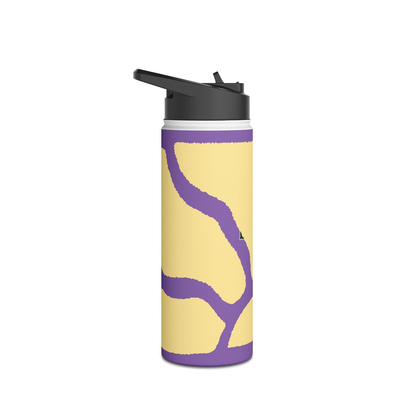 Stainless Steel Water Bottle, Standard Lid