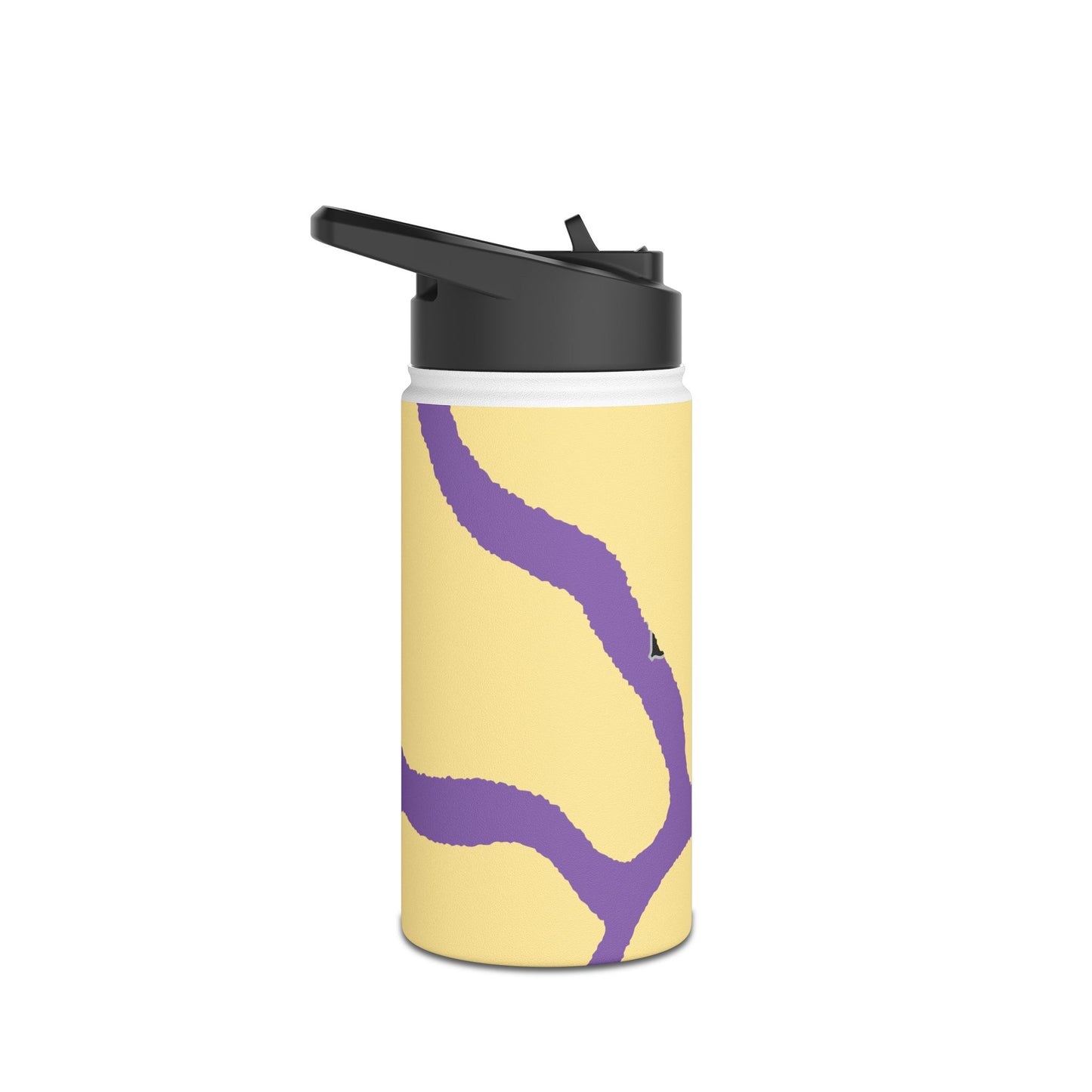 Stainless Steel Water Bottle, Standard Lid
