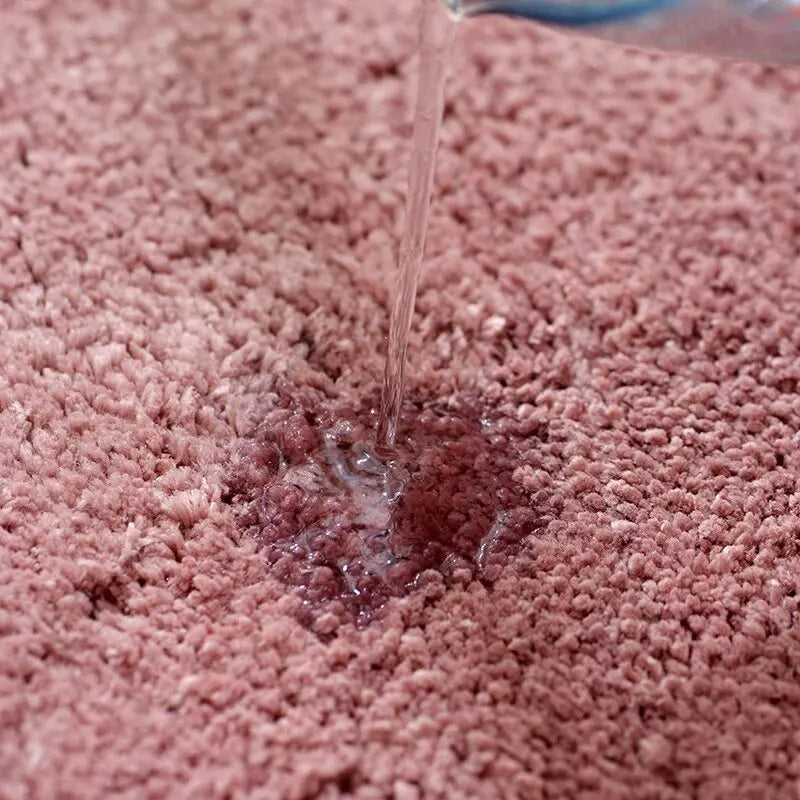 Soft Bathroom Carpet Non Slip Floor Mat Super Comfortable Absorbent Ultra-fine Fiber Foot Mat Suitable for Bathroom Living Room